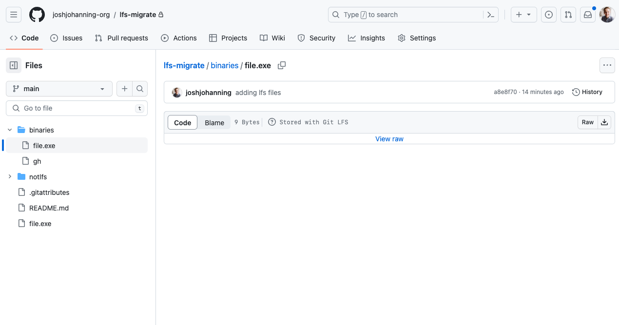 Git LFS file in GitHub
